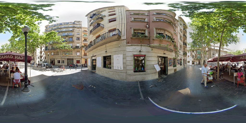 Panoramic Vision streetscape image