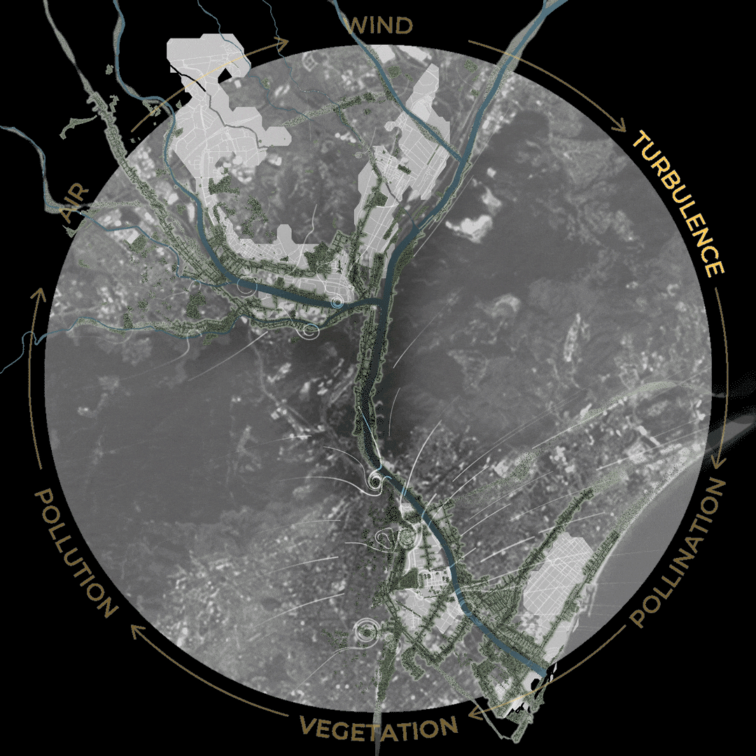 Whole cycle from turbulence to re-vegetation